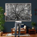 Majestic Angel Oak Tree Black and White Canvas Print – Multi by MyGreatCanvas | Canvas Wall Art Prints | Photo Prints & Wall Decor