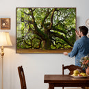 Angel Oak Tree Wall Art Canvas Print | Forest Tree Nature