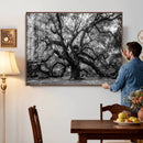 Black and White Old Angel Oak Tree Wall Art Canvas Print