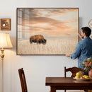 MyCanvas -