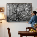 Majestic Angel Oak Tree Black and White Canvas Print – Multi by MyGreatCanvas | Canvas Wall Art Prints | Photo Prints & Wall Decor