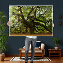 Angel Oak Tree Wall Art Canvas Print | Forest Tree Nature