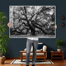 Black and White Old Angel Oak Tree Wall Art Canvas Print