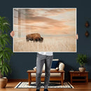 MyCanvas -