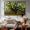 Angel Oak Tree Wall Art Canvas Print | Forest Tree Nature