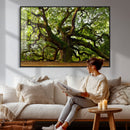 Angel Oak Tree Wall Art Canvas Print | Forest Tree Nature