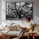 Black and White Old Angel Oak Tree Wall Art Canvas Print