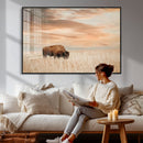 MyCanvas -