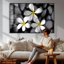 Plumeria Frangipani Black Stone Canvas | White Flower Spa by MyGreatCanvas | Canvas Wall Art Prints | Photo Prints & Wall Decor