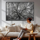 Majestic Angel Oak Tree Black and White Canvas Print – Multi by MyGreatCanvas | Canvas Wall Art Prints | Photo Prints & Wall Decor