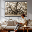 Sepia Framed Angel Oak Tree Wall Art - 3-Panel Canvas by MyGreatCanvas | Canvas Wall Art Prints | Photo Prints & Wall Decor