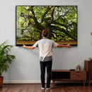Angel Oak Tree Wall Art Canvas Print | Forest Tree Nature