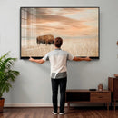 MyCanvas -