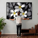 Plumeria Frangipani Black Stone Canvas | White Flower Spa by MyGreatCanvas | Canvas Wall Art Prints | Photo Prints & Wall Decor