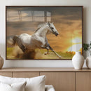 Large Wall Art Galloping White Horse at Sunset Canvas Print