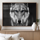 Black and White Wild Wolf Wall Art Canvas Print