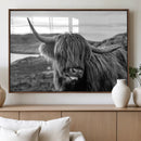 Longhorn Steer Canvas Print Wall Art, Highland Cow Canvas by MyGreatCanvas | Canvas Wall Art Prints | Photo Prints & Wall Decor