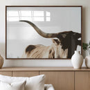 Texas Longhorn Wall Art Canvas Print | 3-Panel Large