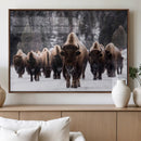 Bison Wall Art Canvas Print- Bison Herd Canvas Wall Art –
