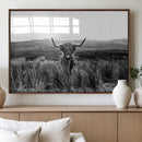Black and White Highland Cow Canvas Wall Art, Longhorn by MyGreatCanvas | Canvas Wall Art Prints | Photo Prints & Wall Decor