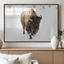 Bison Winter Wall Art Canvas Print For Farmhouse Decor
