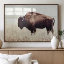 Bison in Field Wall Art Canvas Print For Farmhouse Barn