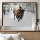 Bison Wall Art Canvas Print For Farmhouse, Animal Canvas