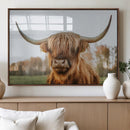 Highland Cow Animal Scottish Cattle Art Print Farmhouse Wall
