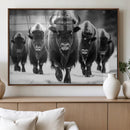 American Bison Art | Buffalo Herd Wall Art Canvas Print, BW