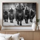 American Bison Art | Buffalo Herd Wall Art Canvas Print, BW