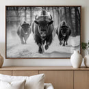 Buffalo Wall Art Canvas Print, Bison Family Wall Art Canvas by MyGreatCanvas | Canvas Wall Art Prints | Photo Prints & Wall Decor