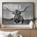 Texas Longhorn Cow Wall Art, Texas Longhorn Canvas, Cattle