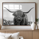 Longhorn Canvas Print, Bighorn Cow Wall Art Canvas Print