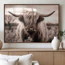 Scottish Cow Longhorn Wall Art Canvas Print