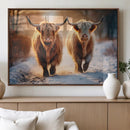 Scottish Highland Cow Horn Farm Wall Art Canvas Print