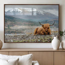 Highland Cow Horn Farm Wall Art Canvas Print