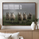 Flock of Sheep in a Mystical Fog – Pastoral Wall Art Canvas by MyGreatCanvas | Canvas Wall Art Prints | Photo Prints & Wall Decor