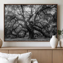 Black and White Old Angel Oak Tree Wall Art Canvas Print