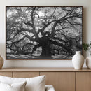 Ancient Oak Wall Art Canvas Print – Gnarled Tree Twisted