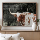 Texas Longhorn Wall Art Canvas Print – Framed Spotted Bull