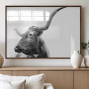 Longhorn Wall Art Canvas Print – Framed Monochrome Ranch Cow