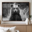 Grizzly Bear Wall Art Canvas Print – Framed Black White