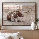 Texas Longhorn Wall Art Canvas Print – Framed Resting Bull by MyGreatCanvas | Canvas Wall Art Prints | Photo Prints & Wall Decor