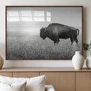 Bison Wall Art Canvas Print – Framed Rustic Wildlife Scene by MyGreatCanvas | Canvas Wall Art Prints | Photo Prints & Wall Decor