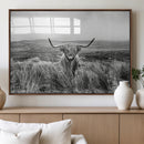 Monochrome Highland Cow Wall Art Canvas Print – Framed by MyGreatCanvas | Canvas Wall Art Prints | Photo Prints & Wall Decor