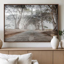 Cypress Tunnel Wall Art – Framed Misty Road Canvas Artwork, by MyGreatCanvas | Canvas Wall Art Prints | Photo Prints & Wall Decor