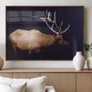 Bull Elk Decor Wall Art Canvas Print – Framed Elk by MyGreatCanvas | Canvas Wall Art Prints | Photo Prints & Wall Decor