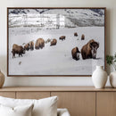 Bison Herd Wall Art Canvas Print – Framed Western Wildlife by MyGreatCanvas | Canvas Wall Art Prints | Photo Prints & Wall Decor