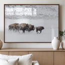 Bison Herd Decor Wall Art Canvas Print – Framed Snowy Bison by MyGreatCanvas | Canvas Wall Art Prints | Photo Prints & Wall Decor