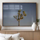 Joshua Tree Wall Art Canvas Print – Framed Southwestern by MyGreatCanvas | Canvas Wall Art Prints | Photo Prints & Wall Decor